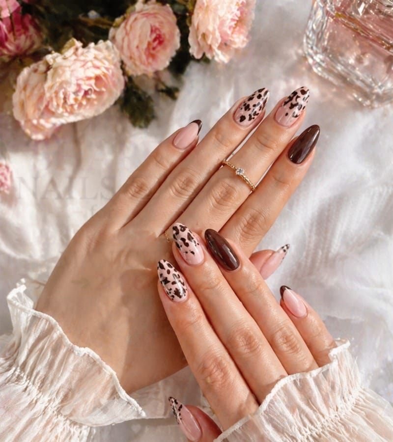 Animal Prints: Wild and Beautiful